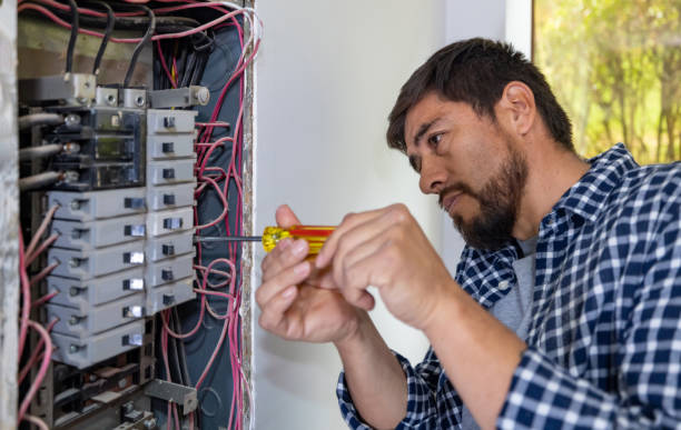 Best Affordable Electrician  in Prces Lakes, IN